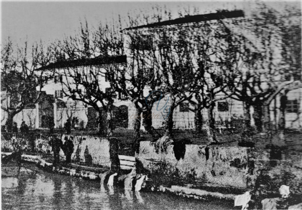 Lavandaie Viareggio Anni 1850 - 1900 circa