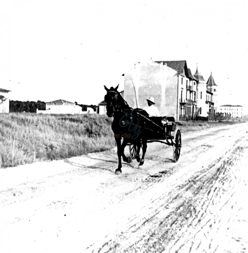 viale Carducci Viareggio Anno 1880