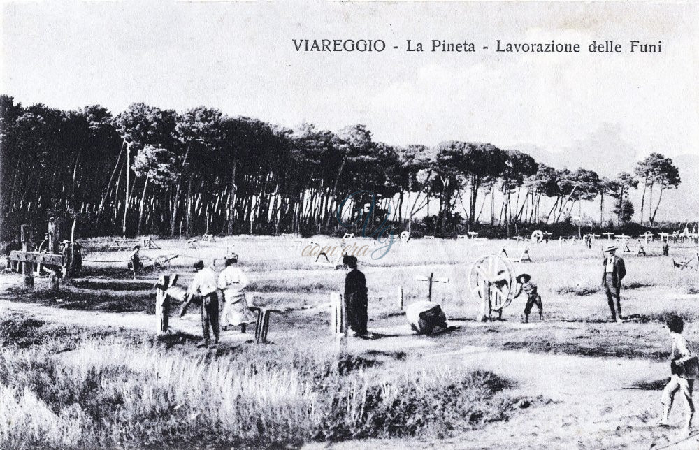 Lavorazione delle funi Viareggio Anni 1850 - 1900 circa