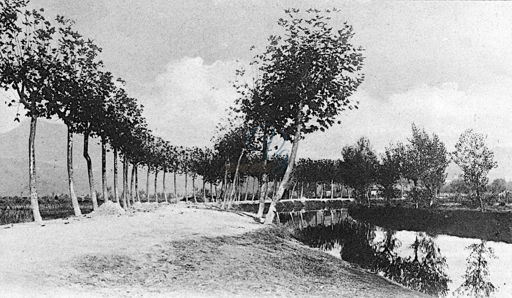 Via di Montramito Viareggio Anni 1850 - 1900 circa