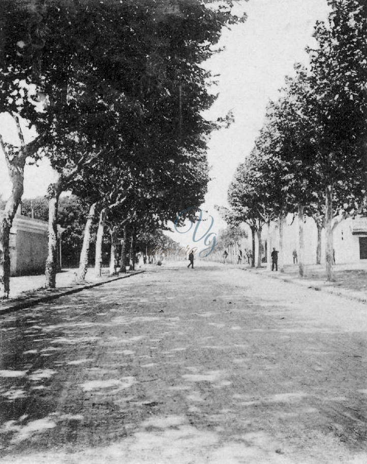 via Foscolo Viareggio Anno 1899