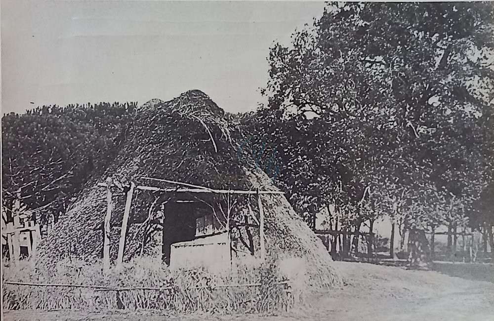 Capanna Viareggio Anni '00