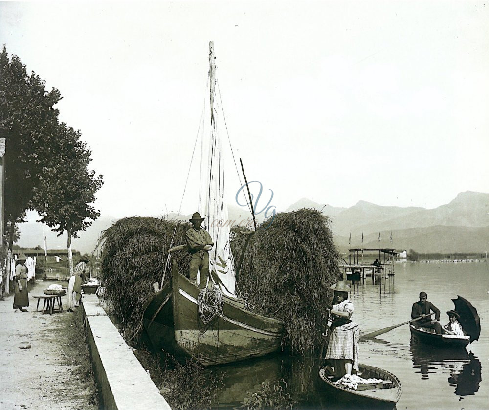 Falasco Viareggio Anno 1900