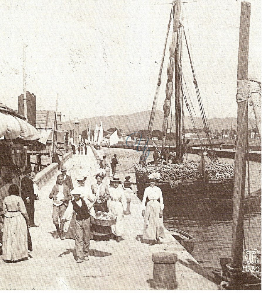 Il pescato Viareggio Anno 1900