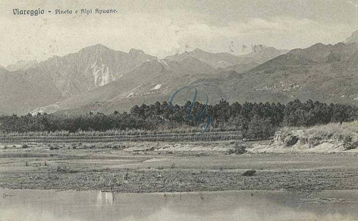 Pineta di Levante Viareggio Anno 1900