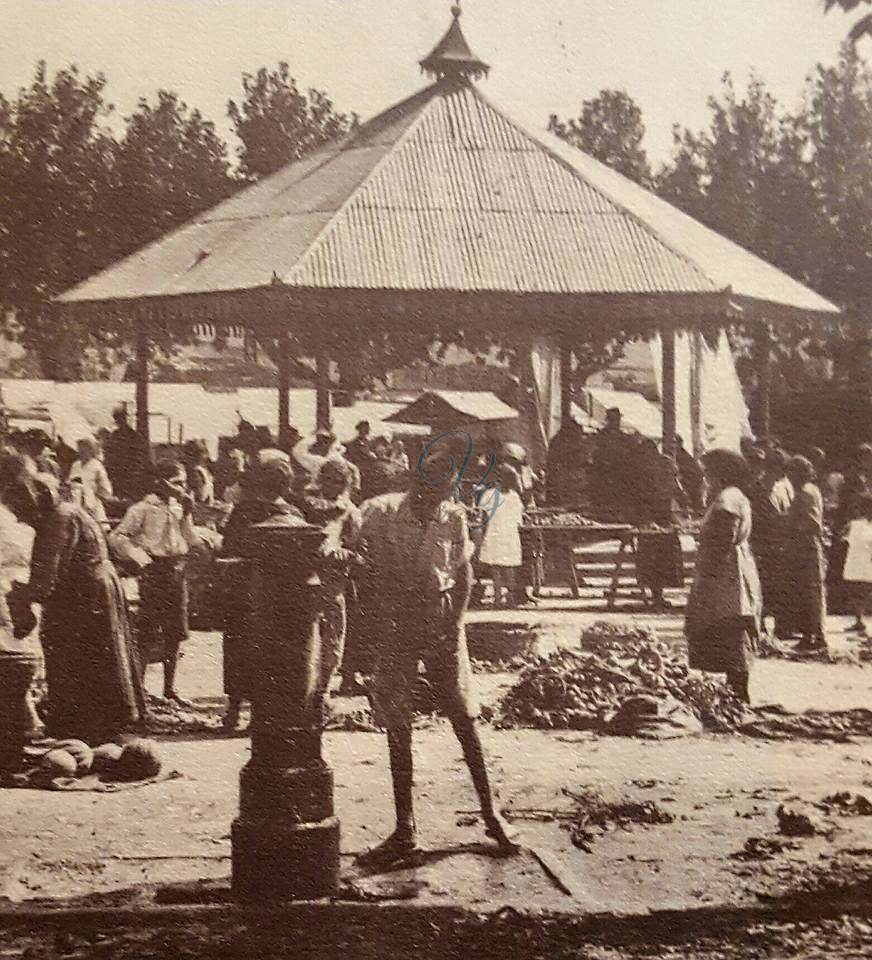 Vecchio Mercato Viareggio Anno 1900