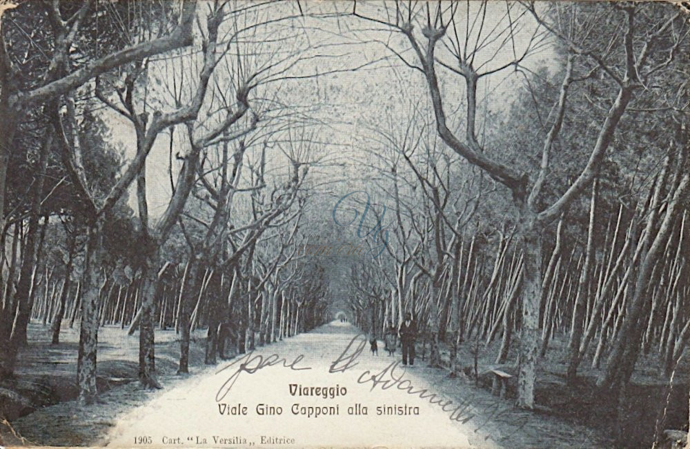viale Capponi Viareggio Anno 1900