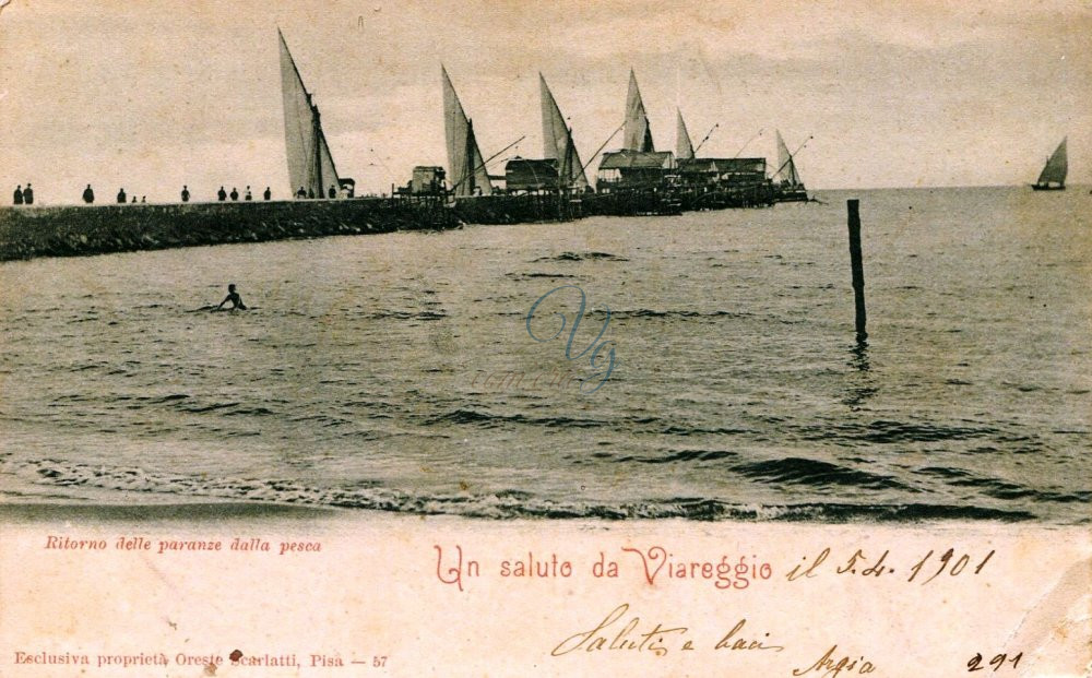 Vele in uscita dal Porto Viareggio Anno 1901