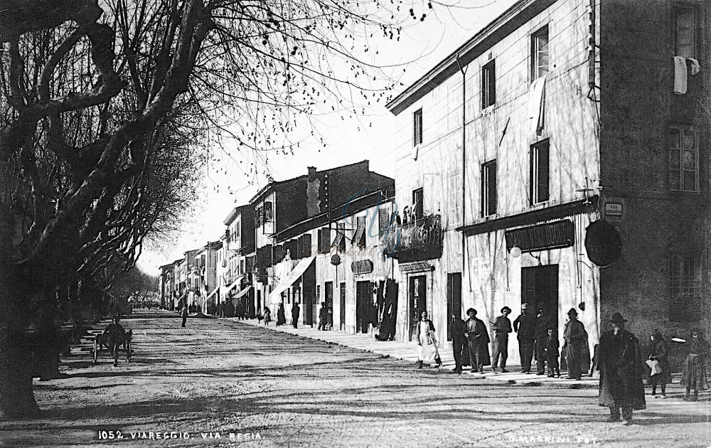Via Regia Viareggio Anno 1904