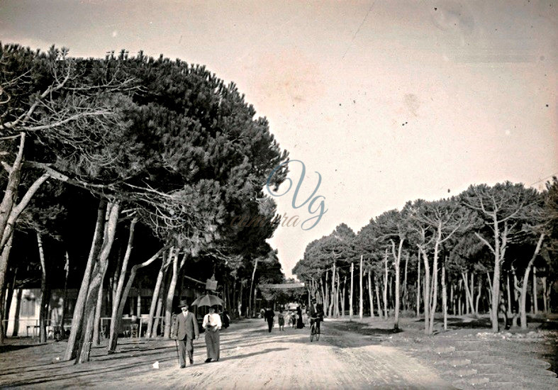 Via Marco Polo Viareggio Anno 1907