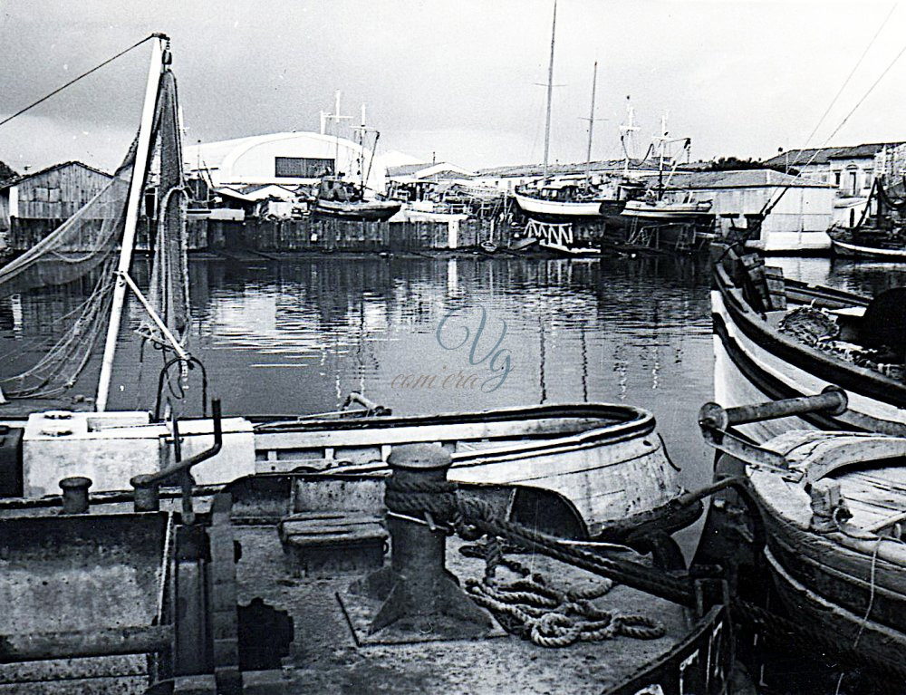 Cantieri Codecasa Viareggio Anni '10