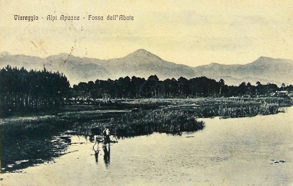 Fossa dell’Abate Viareggio Anno 1910