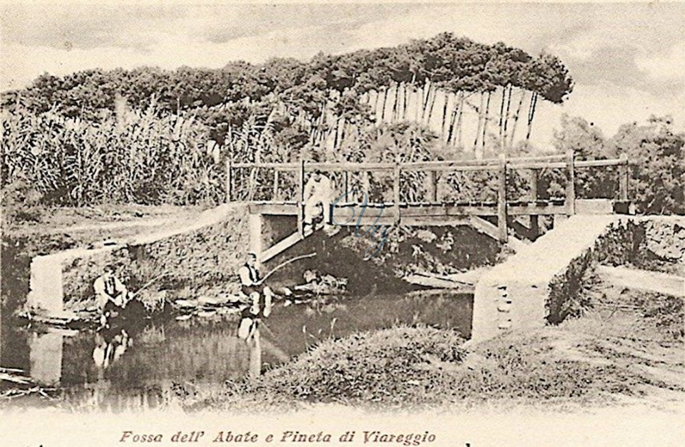 Fossa e Pineta Viareggio Anni '10
