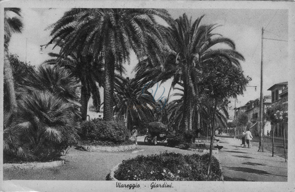 Giardini della passeggiata Viareggio Anni '10