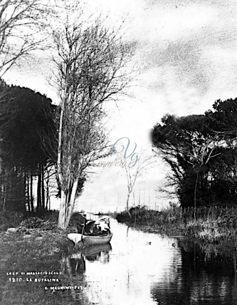 La bufalina Viareggio Anni '10