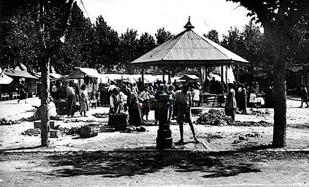 Piazza delle Vettovaglie Viareggio Anni '10