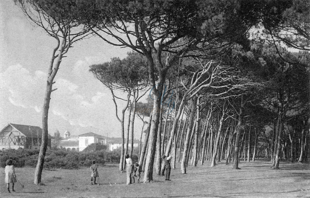 Pineta Viareggio Anni '10