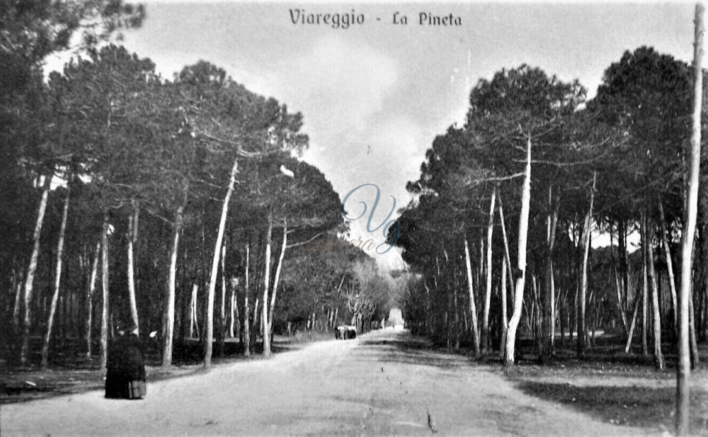 Via Marco Polo Viareggio Anni '10