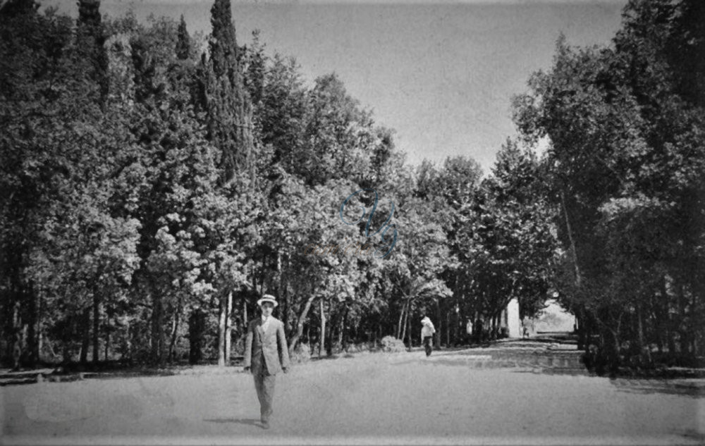 Via della Casina Viareggio Anno 1911