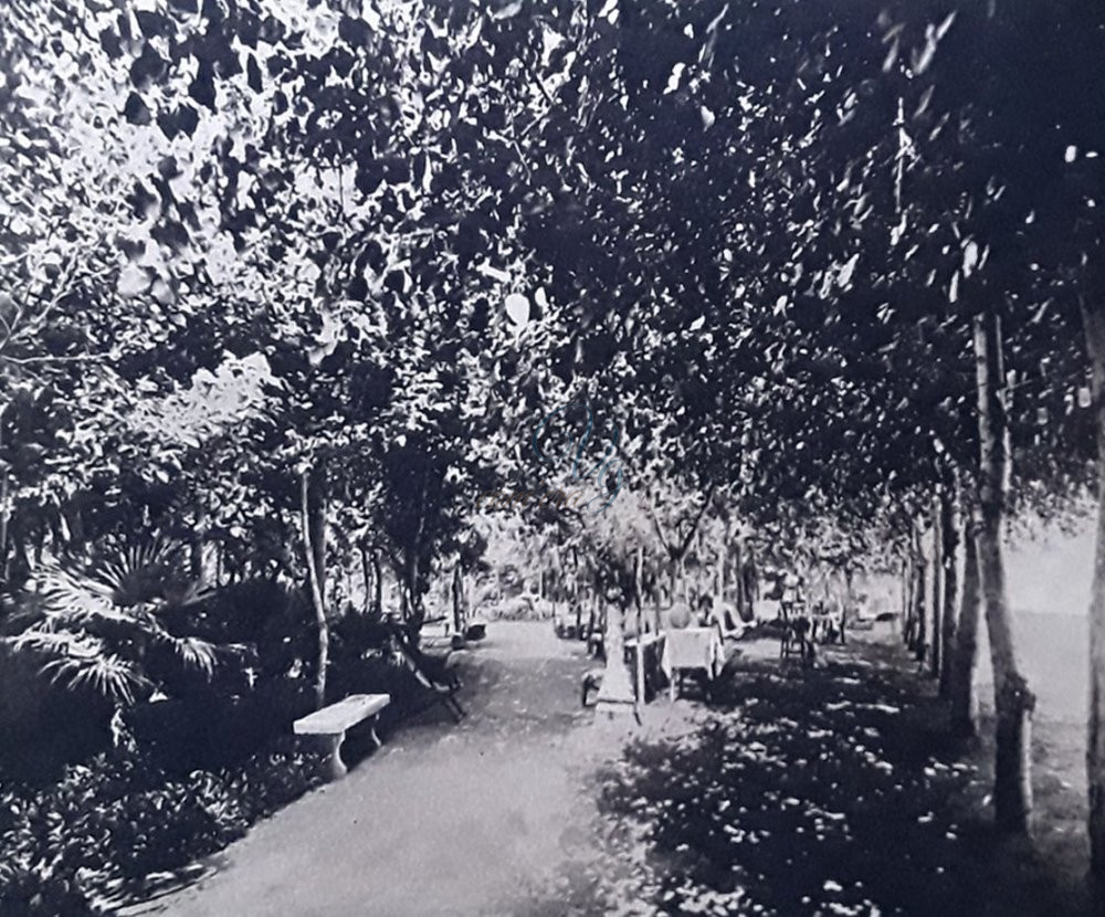 Giardini del Royal Viareggio Anni '20