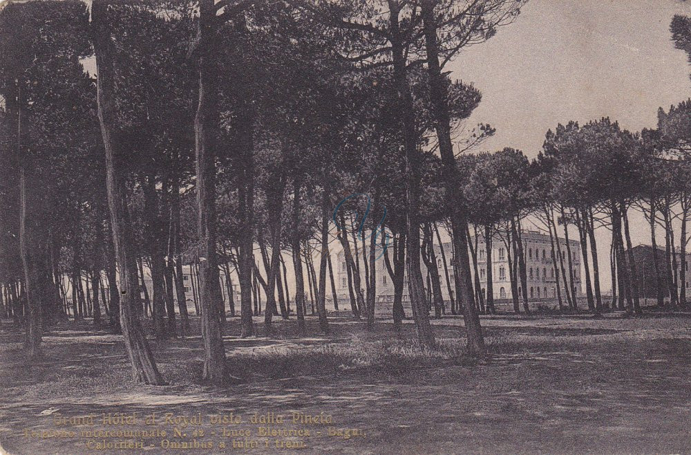 Pineta di Ponente Viareggio Anni '20