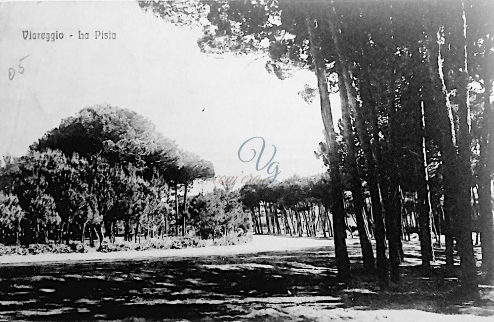 Pista dei cavalli Viareggio Anni '20
