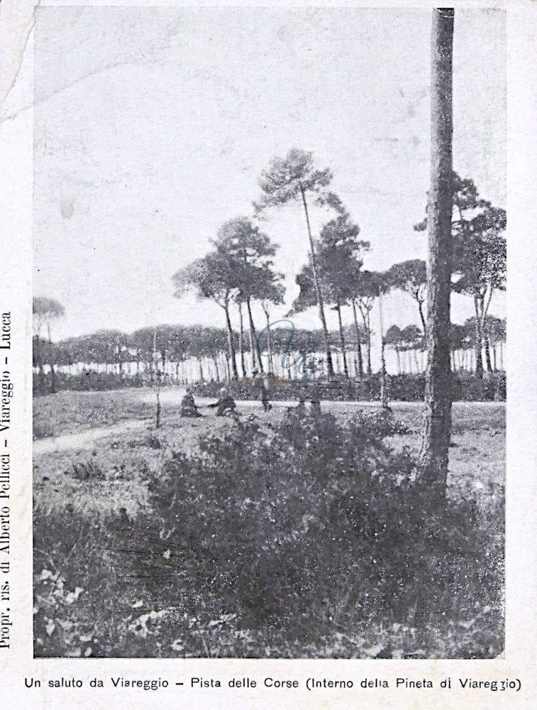 Pista dei cavalli Viareggio Anni '20