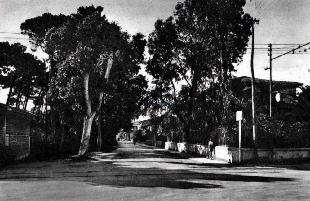 Via Fratti Viareggio Anno 1920