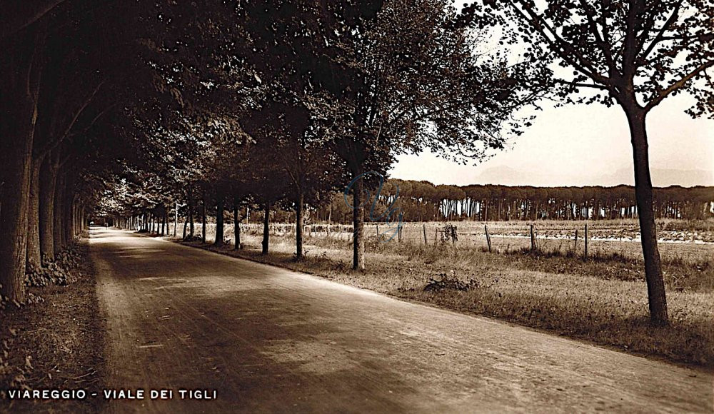 Viale dei Tigli Viareggio Anno 1920