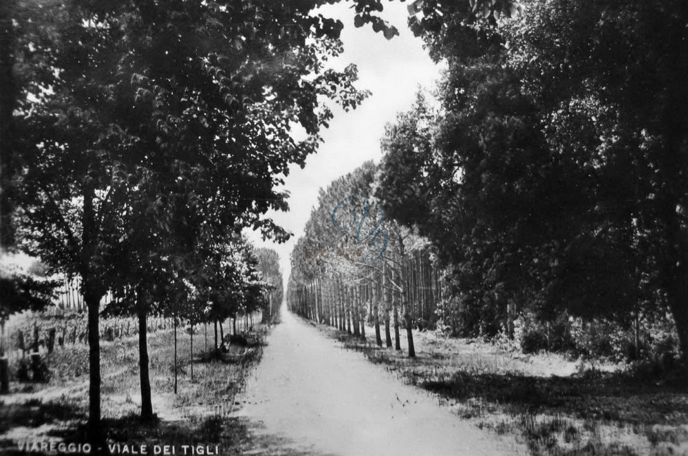 viale dei Tigli Viareggio Anni '20