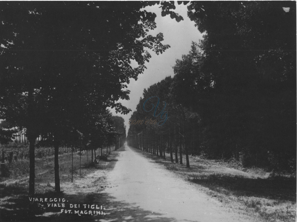 viale dei Tigli Viareggio Anni '20