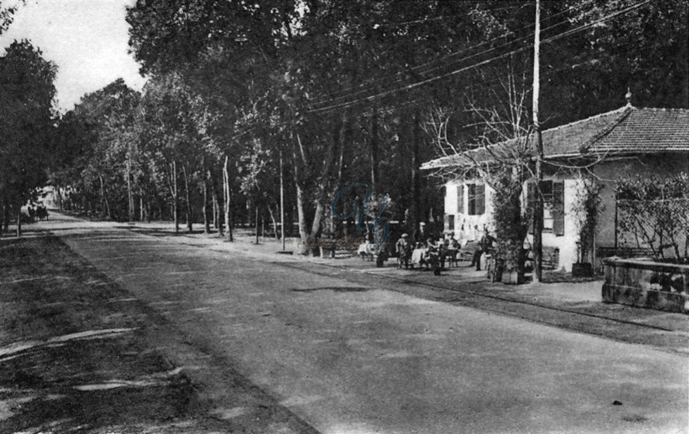 La Casina Viareggio Anno 1925