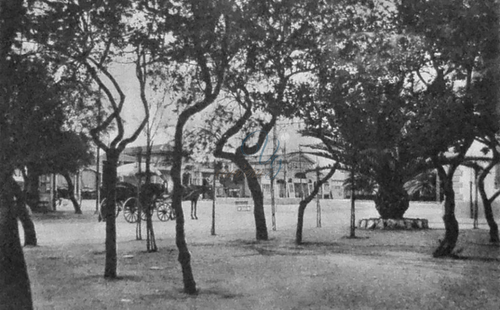viale Margherita Viareggio Anno 1926