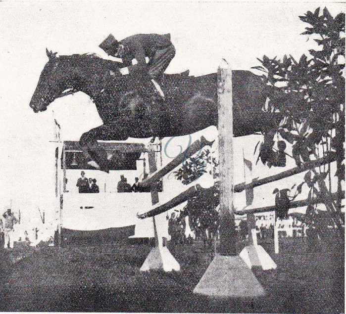 Concorso Ippico Viareggio Anno 1927