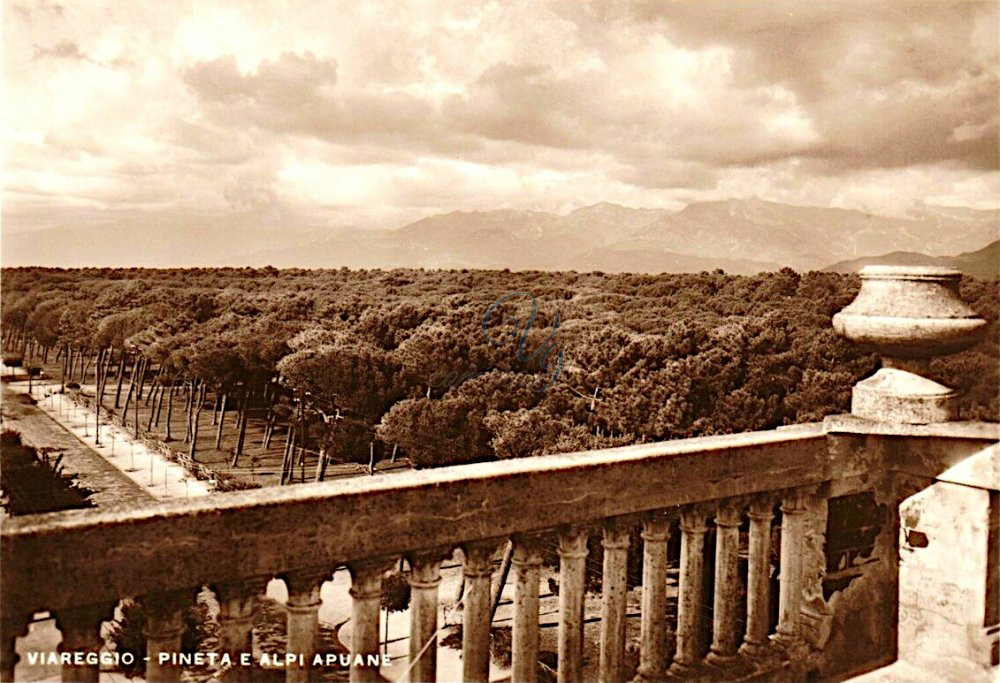 Pineta e Alpi Apuane Viareggio Anno 1930
