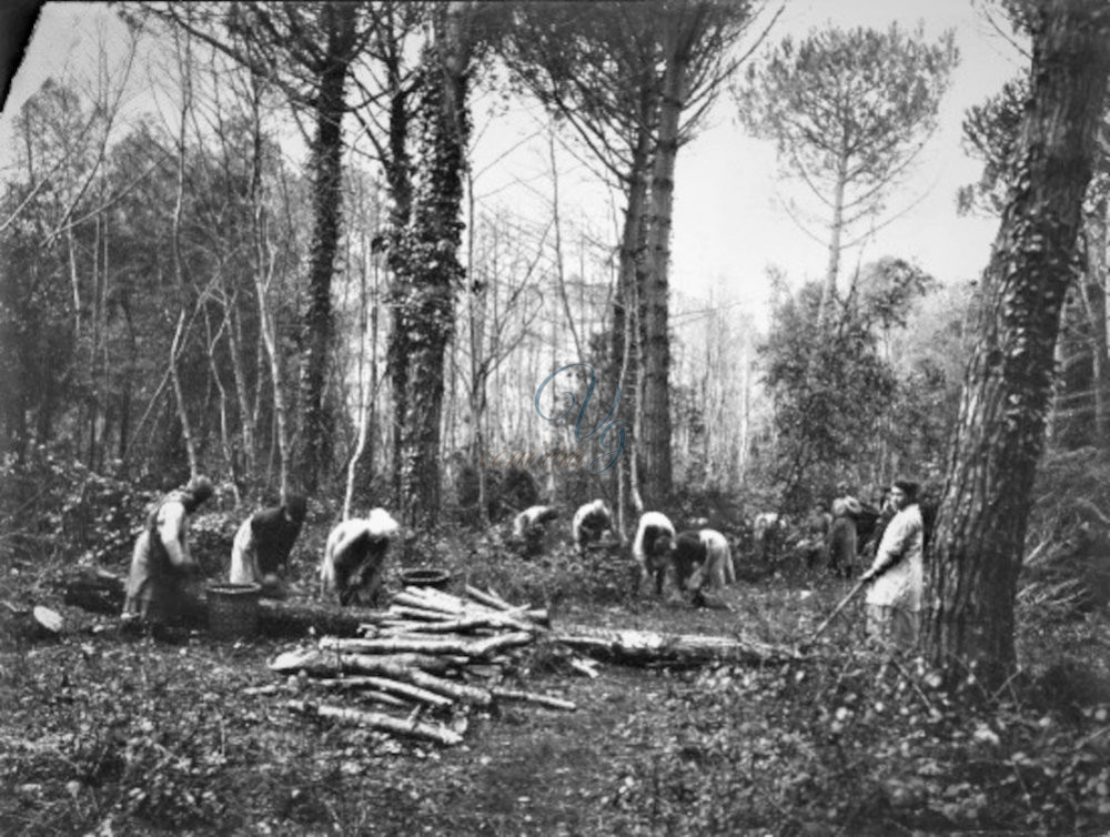 Scotitori Viareggio Anni '30