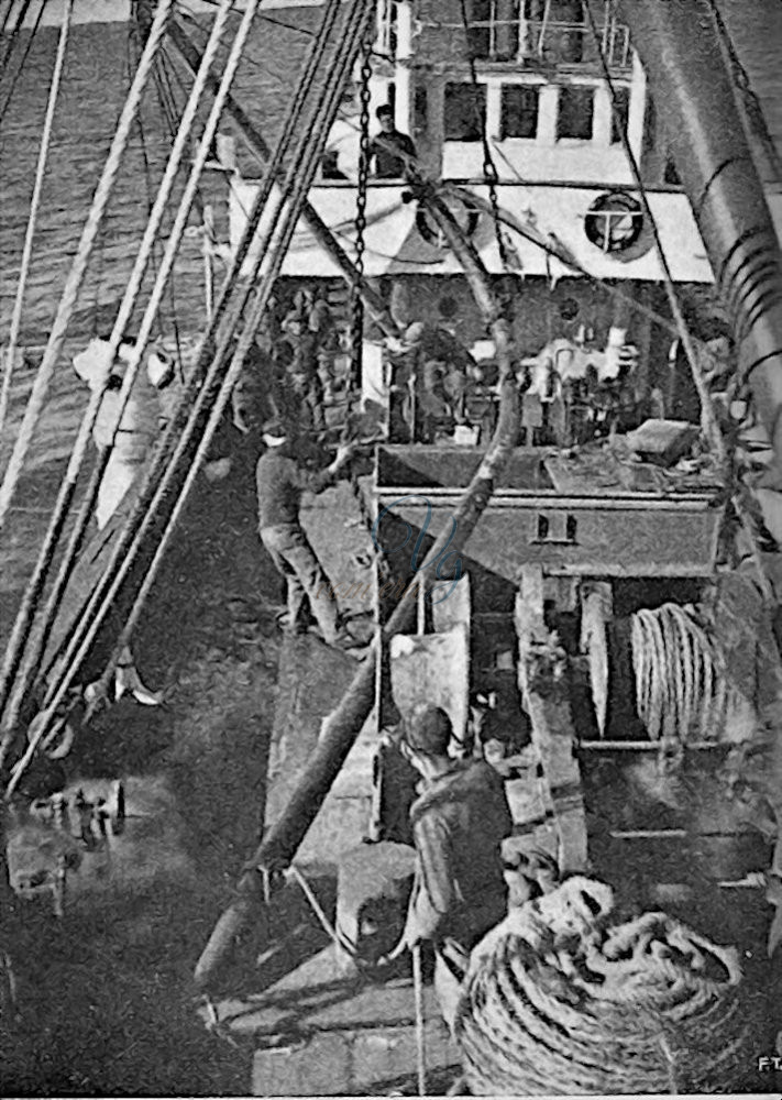 Sull’Artiglio Viareggio Anno 1930