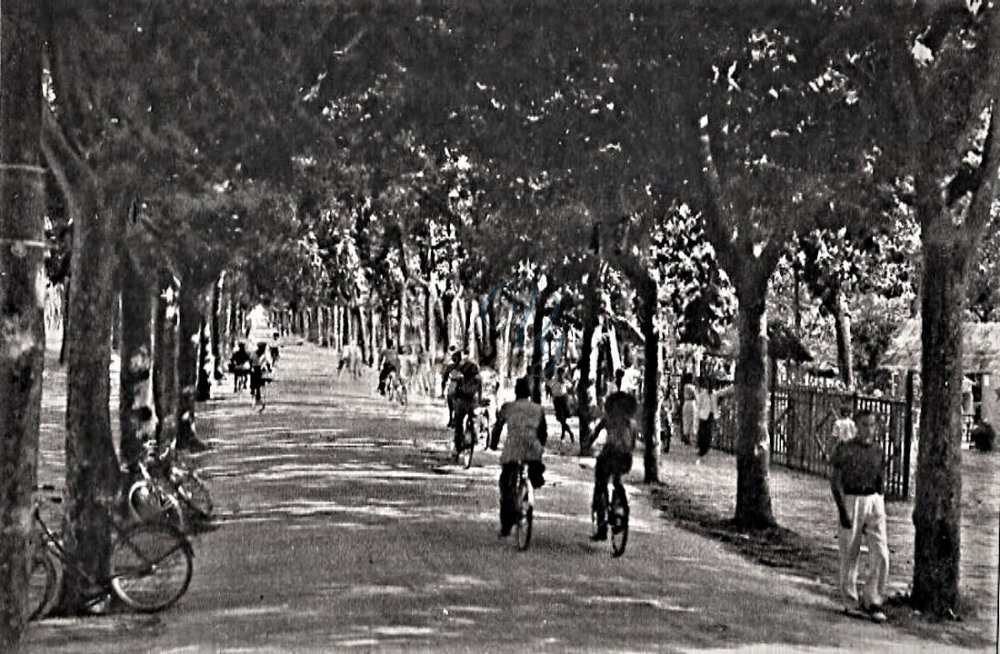 Viale Capponi Viareggio Anni '30