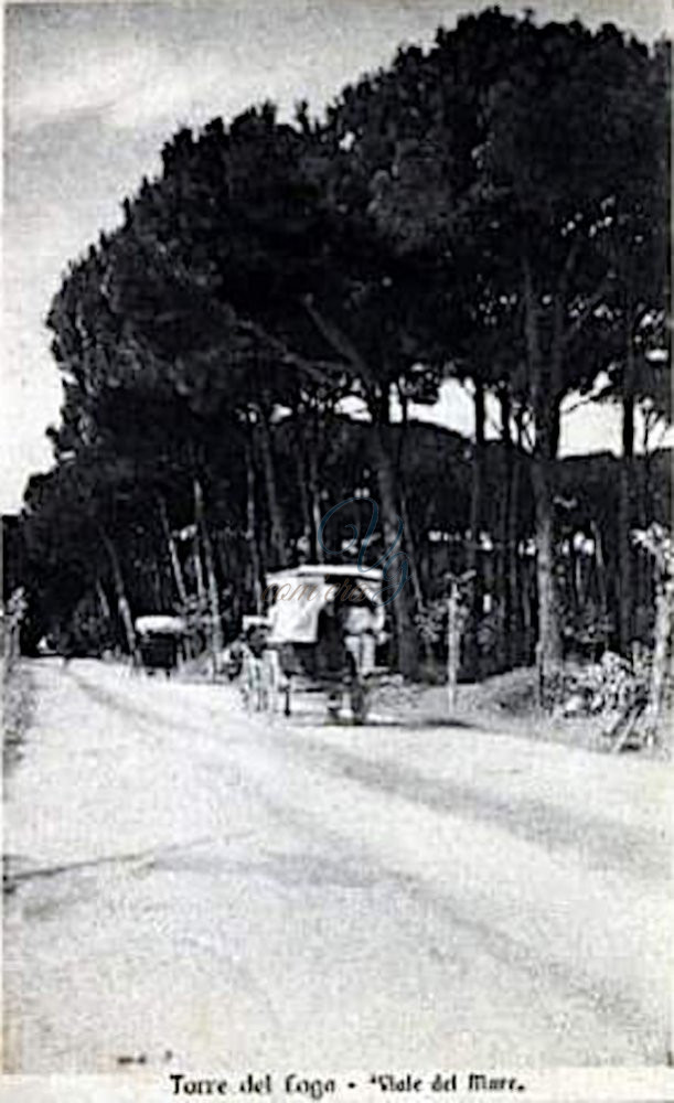 Viale del Mare Viareggio Anni '30