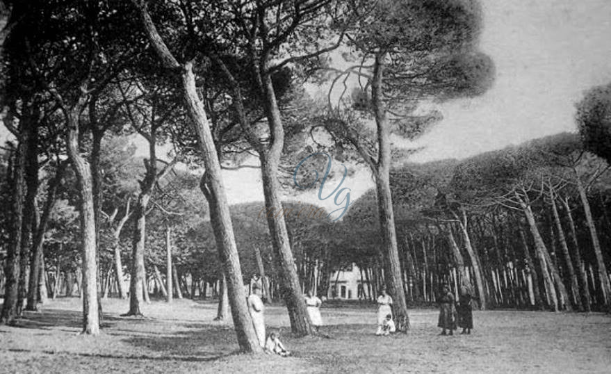 Pineta di Ponente Viareggio Anno 1933