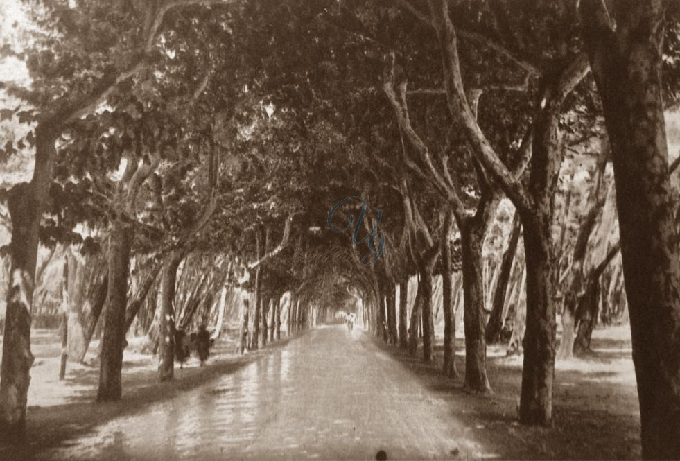 viale Capponi Viareggio Anno 1935