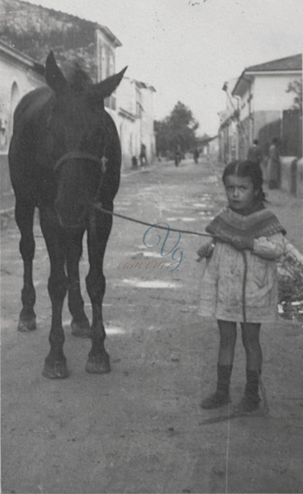 Via del Terminetto Viareggio Anno 1938