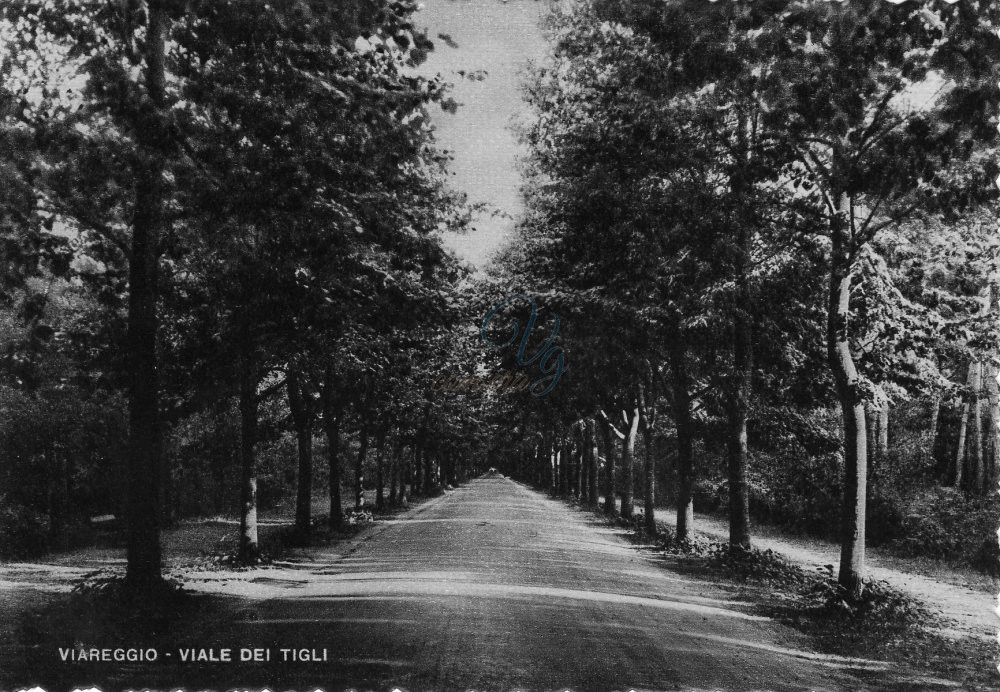Viale dei Tigli Viareggio Anno 1939
