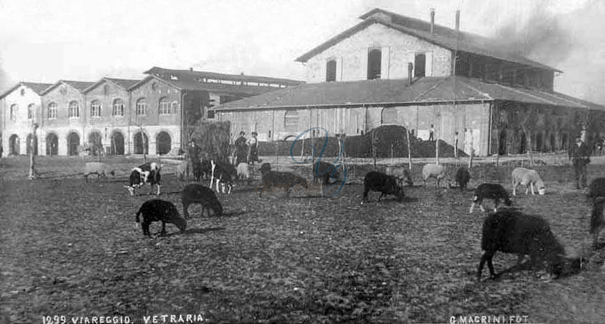 La Vetraria Viareggio Anni '40