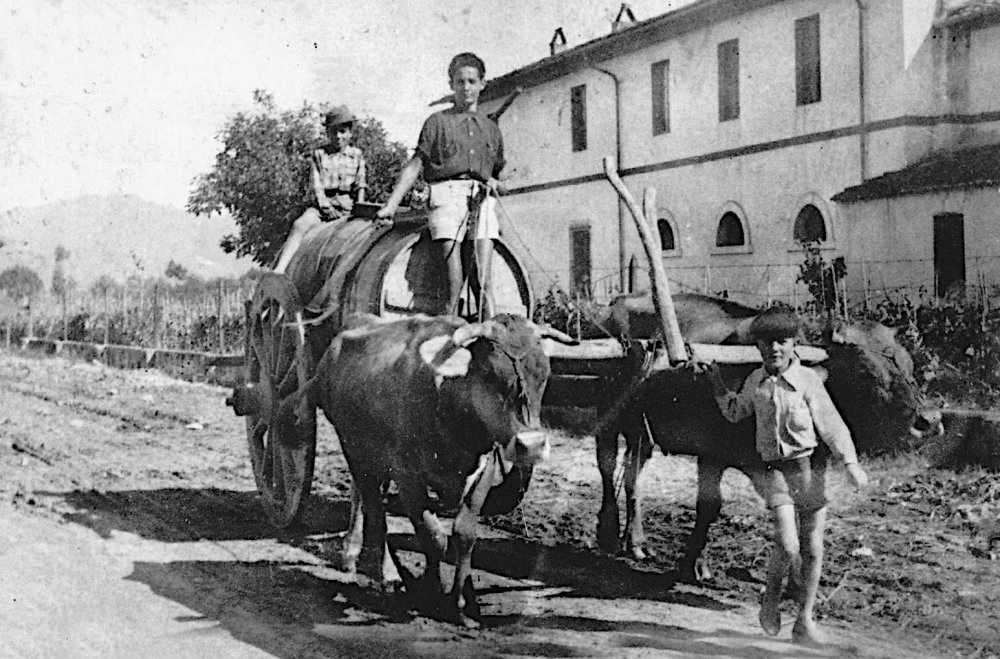 Perugino Viareggio Anni '40