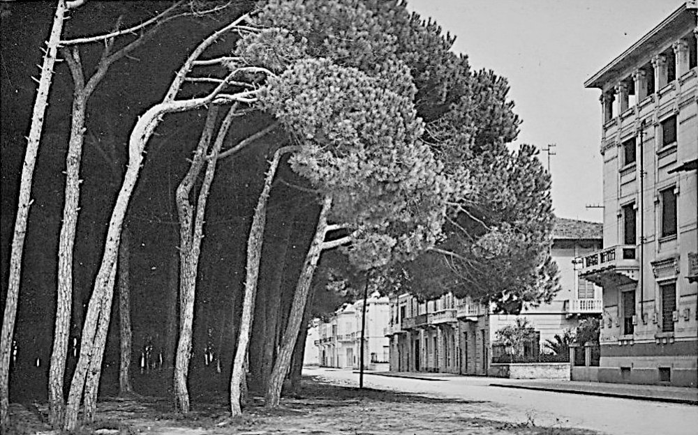 Pineta Viareggio Anni '40