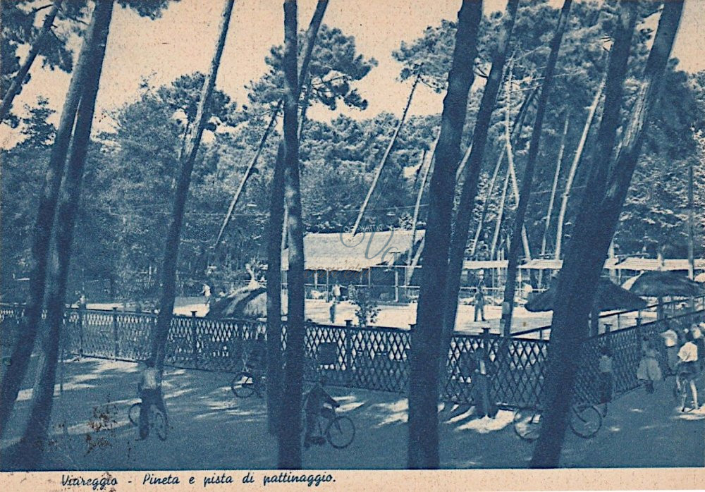 Il Pino sul Tetto Viareggio Anno 1946