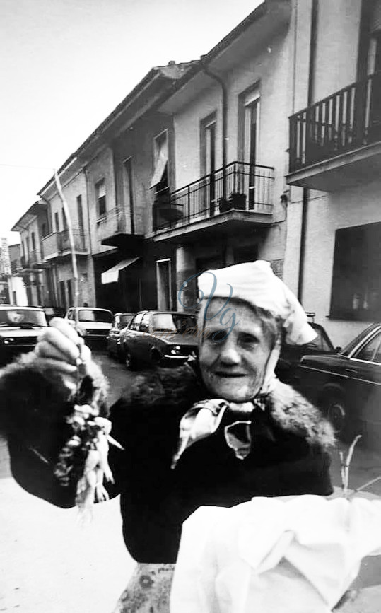 Aladina Viareggio Anni '50