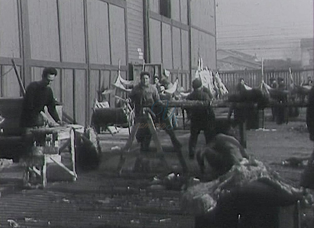 Baracconi del Carnevale Viareggio Anni '50