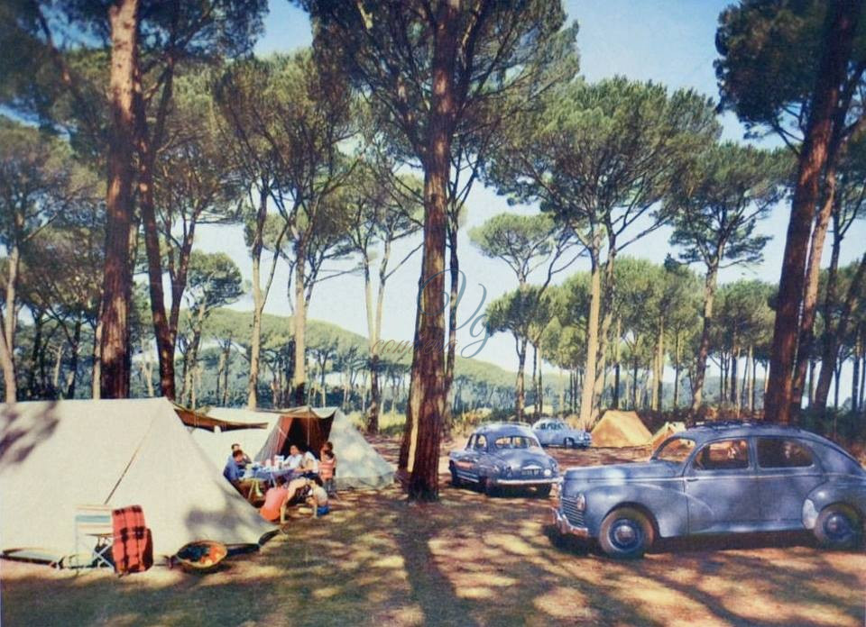 Camping in pineta Viareggio Anni '50
